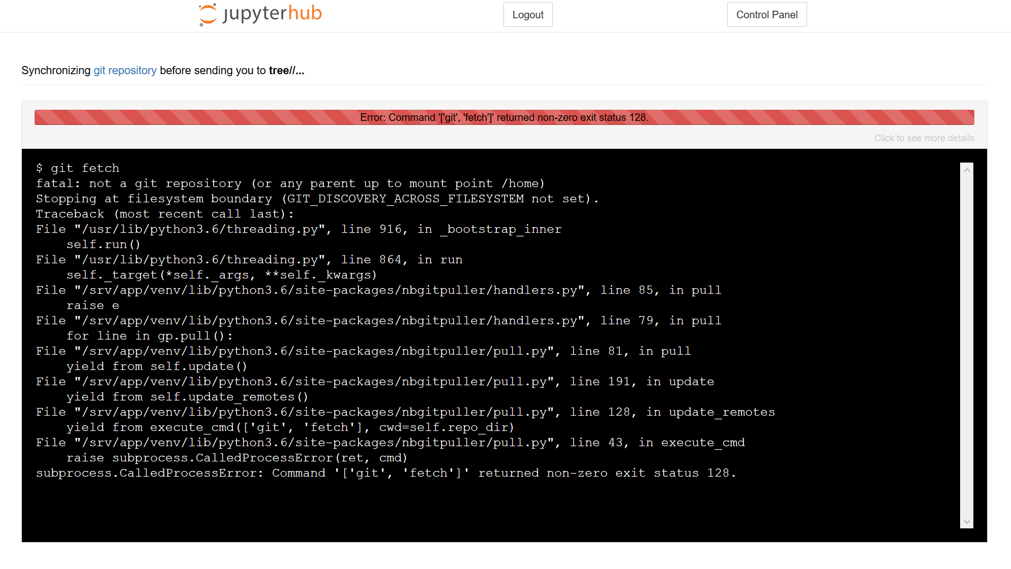 Example error output from nbgitpuller